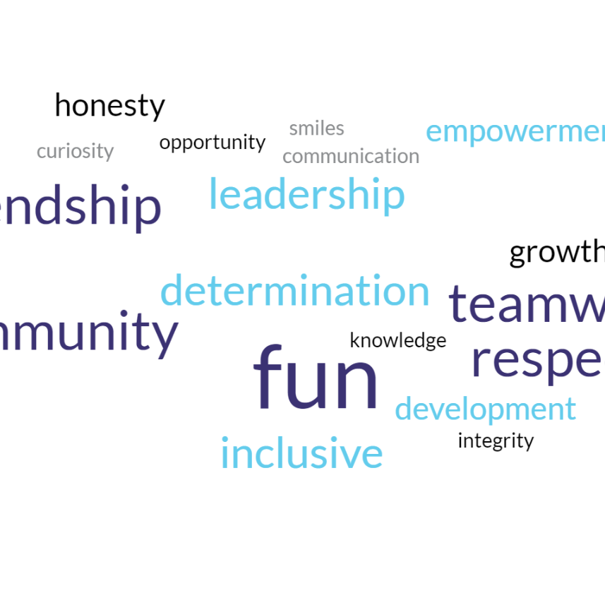 word-cloud